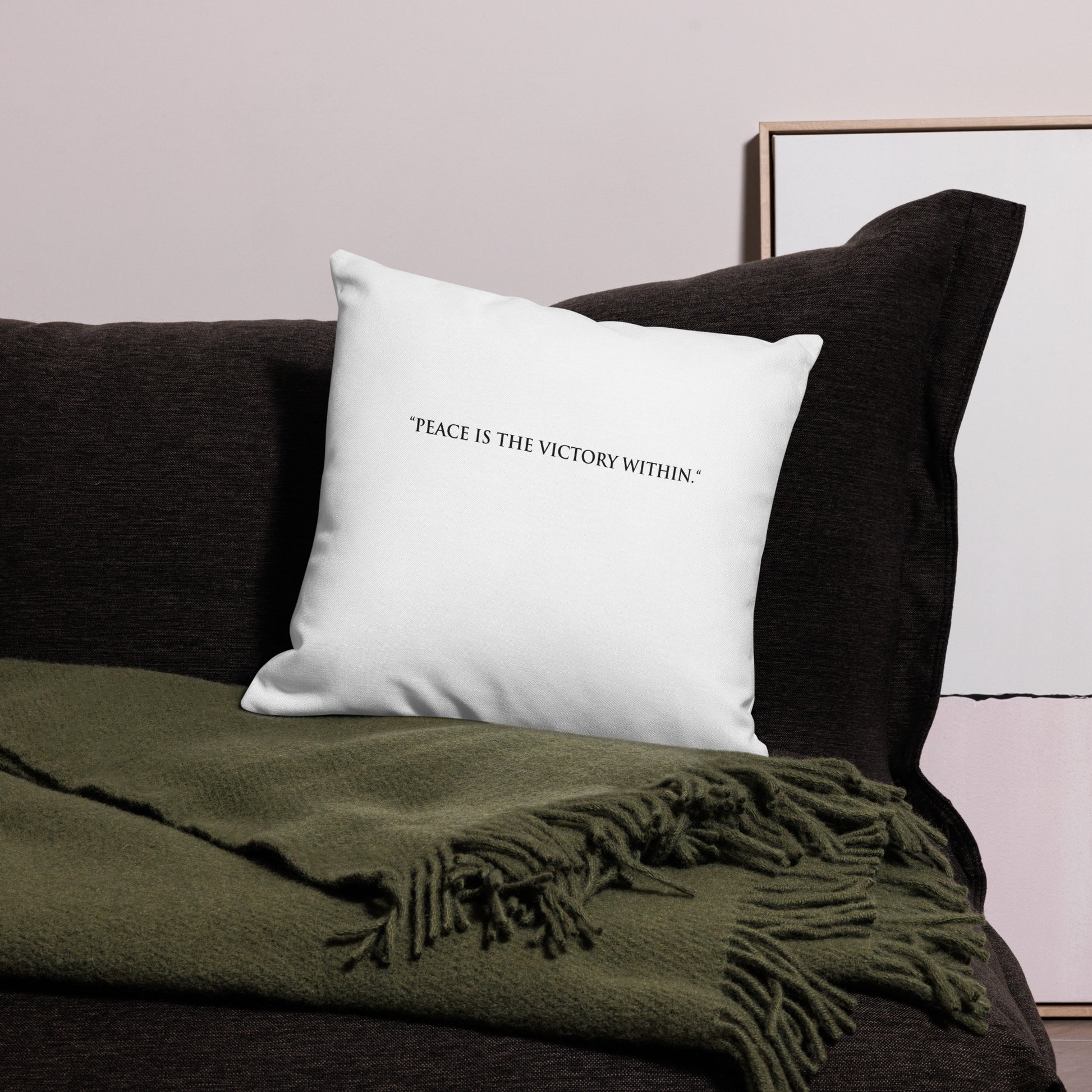 White pillow with text on a dark couch with a green blanket